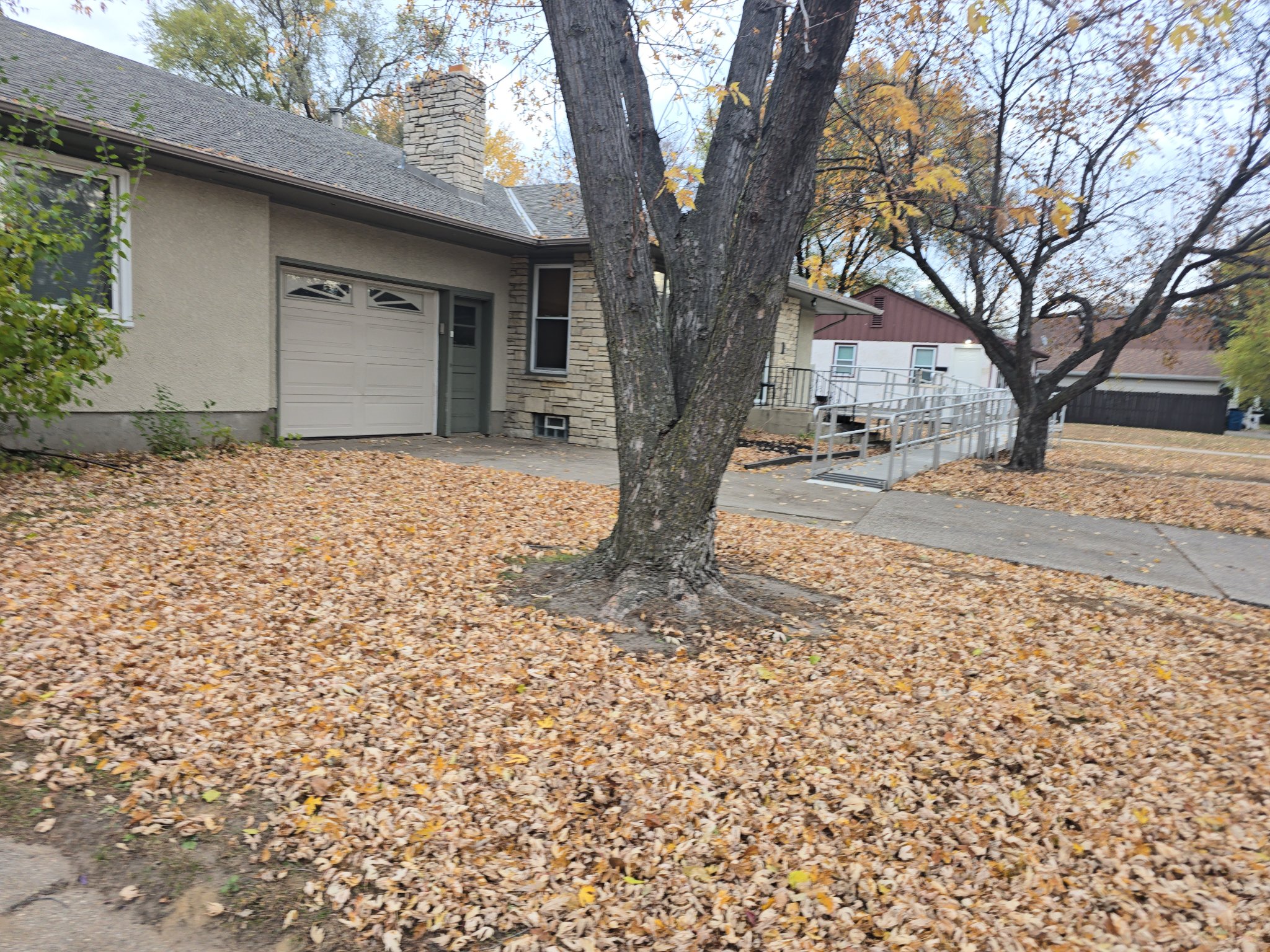 Front yard of a stone home covered in fallen leaves before a fall cleanup