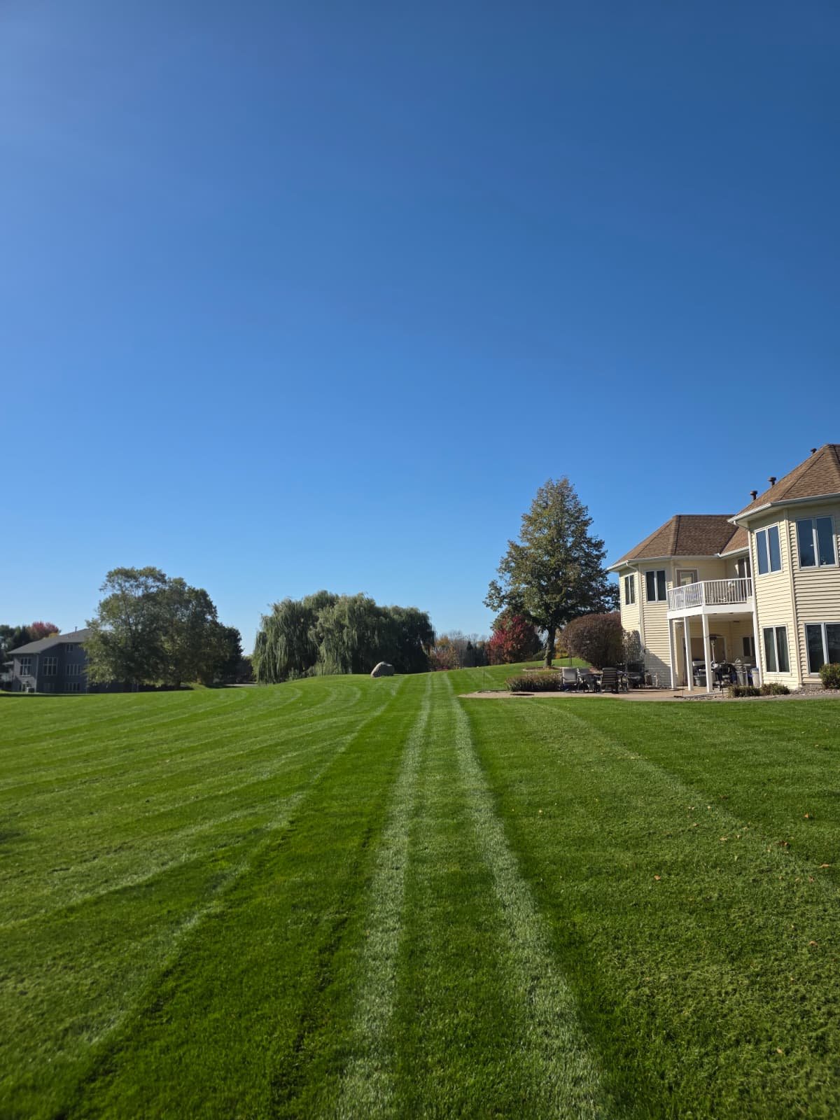 Freshly mowed lawn with straight stripes leading to a cream-colored home under a blue sky