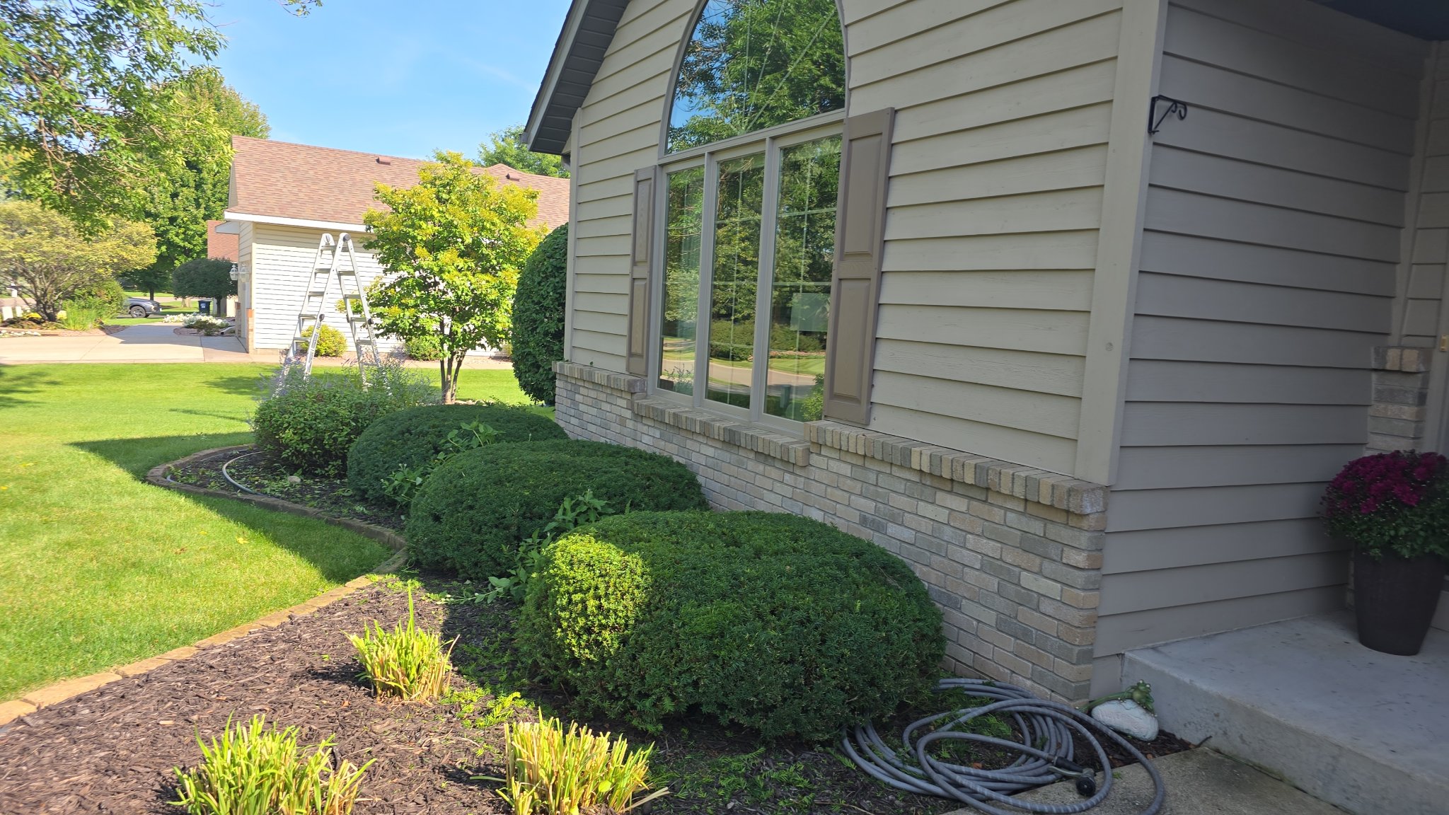 Garden bed with dark mulch and neatly trimmed round shrubs against a home